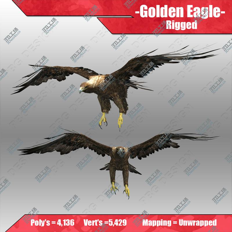 images/goods_img/202105073/Golden Eagle/4.jpg